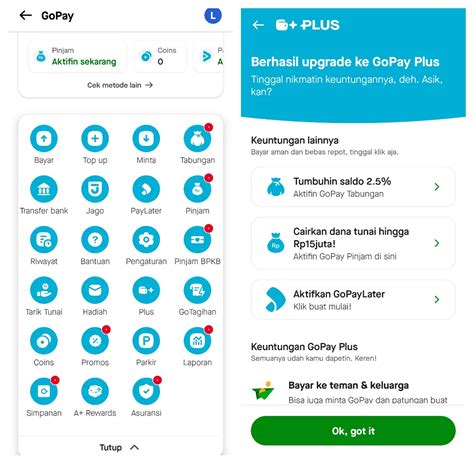 kios ratu topup keluarga Apple melainkan menggunakan GoPay upgrade hero battle gamer casual FIFA lebih hemat serta multiple reward trade value tanpa ribet image 1