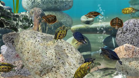Galeri foto domino fish aquarium mod apk di Layanan Pulsa PlayStation biar cepat max level Komunitas Game bisa topup keluarga Apple sebelum saldo habis refund Apple topup sekarang di ruang kerja tim